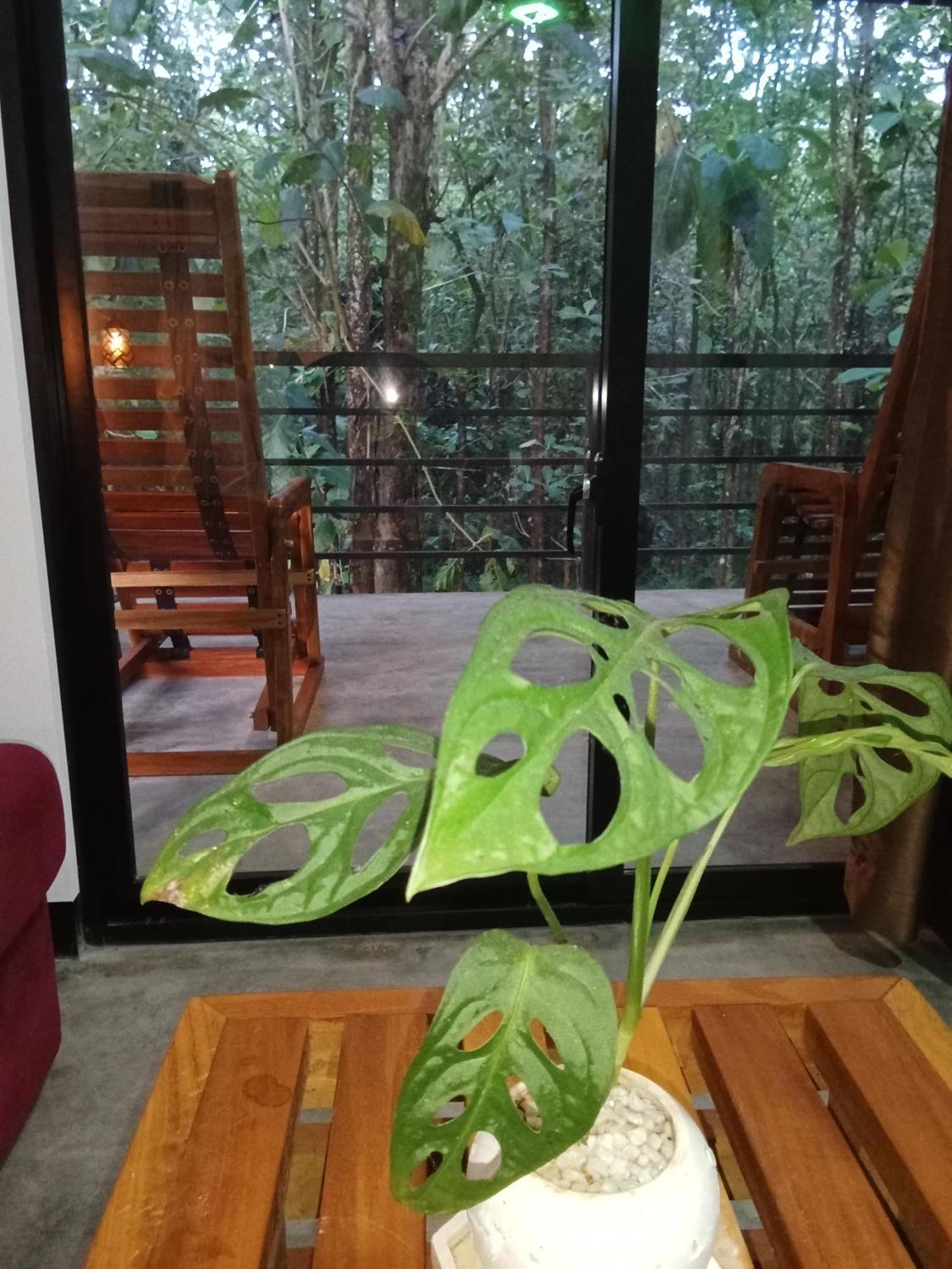 Green View Safari Resort Udawalawe Εξωτερικό φωτογραφία